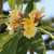 c8075af6f081d03e29d7579b1e4540cc.png