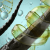ce5cfbcc72be95cb8d01142e09a60f52.png