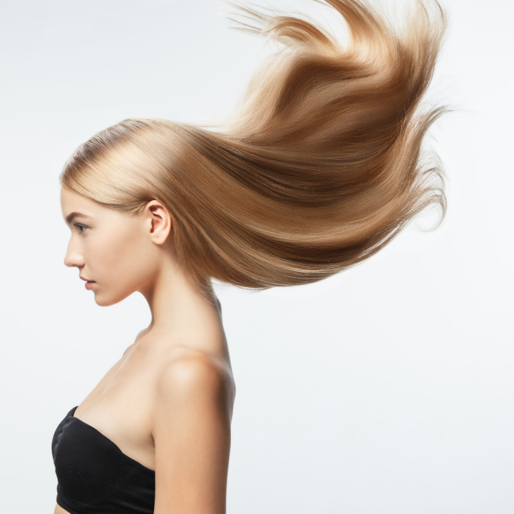 53e5206a8baffab4e99a8fa612200cc3.png
