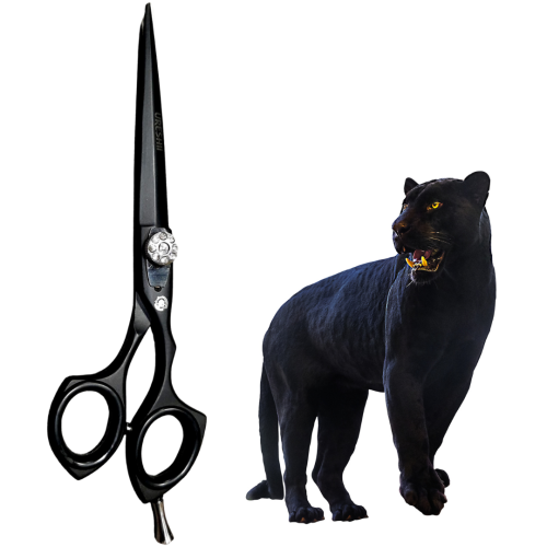 2aeda928507c2c1e481b43b792535b8a.png