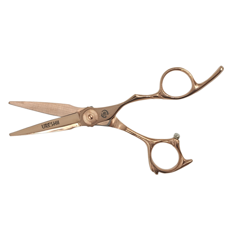 c9d1f6d0517a8ba635dedd979283f656.png